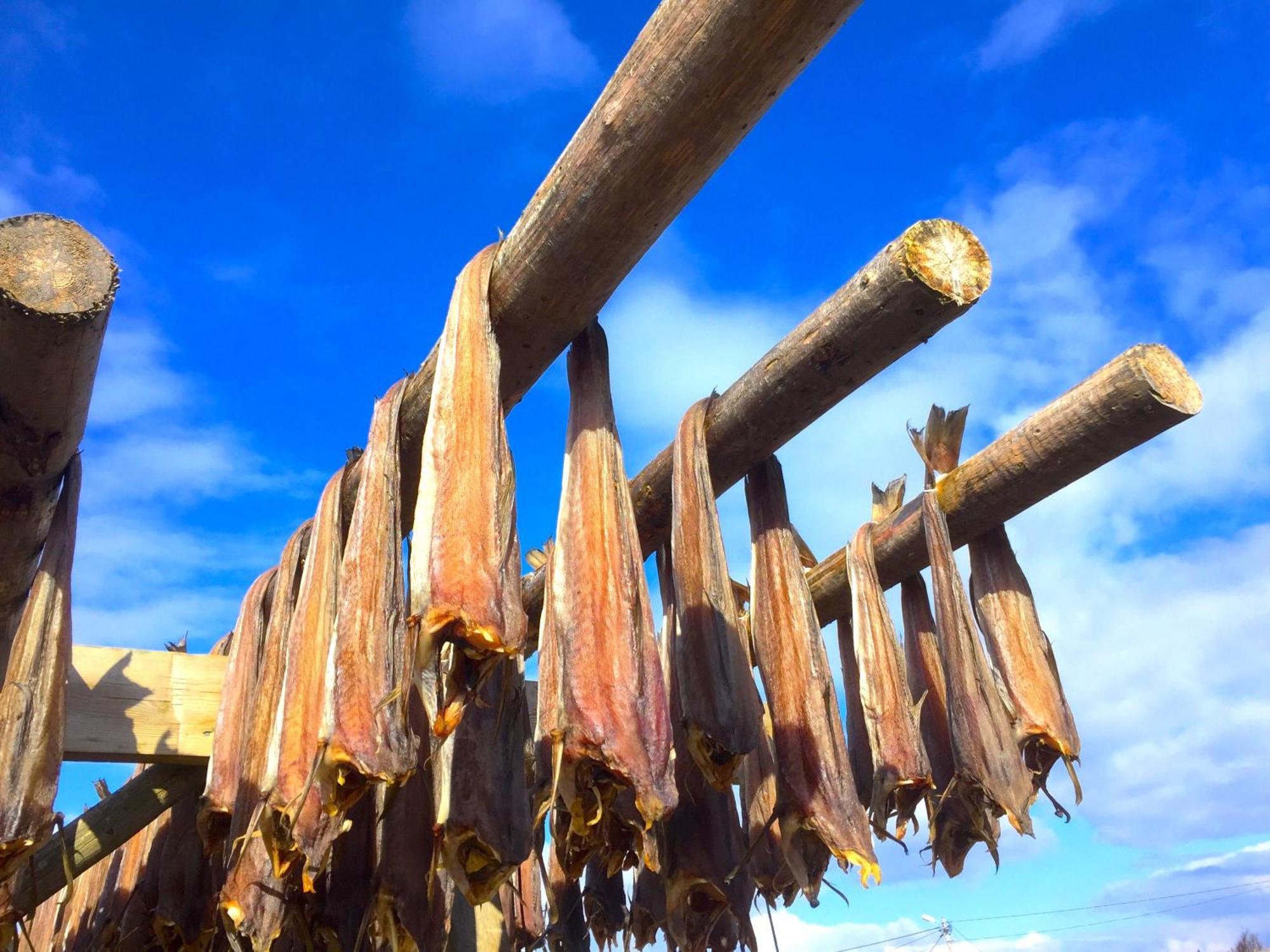 Authentic Rorbu *